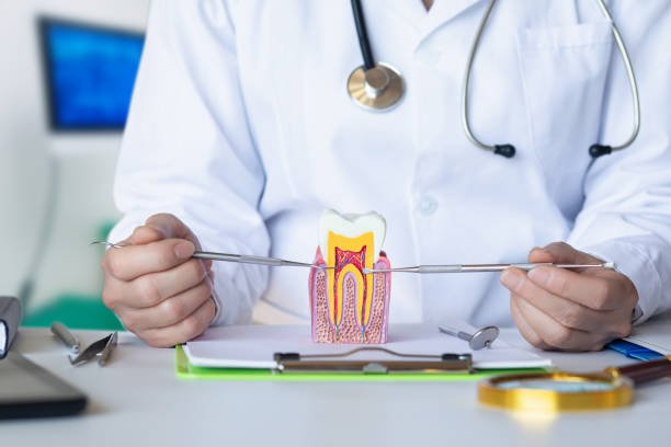 Best Emergency Dental Services for Seniors in Saks, AL